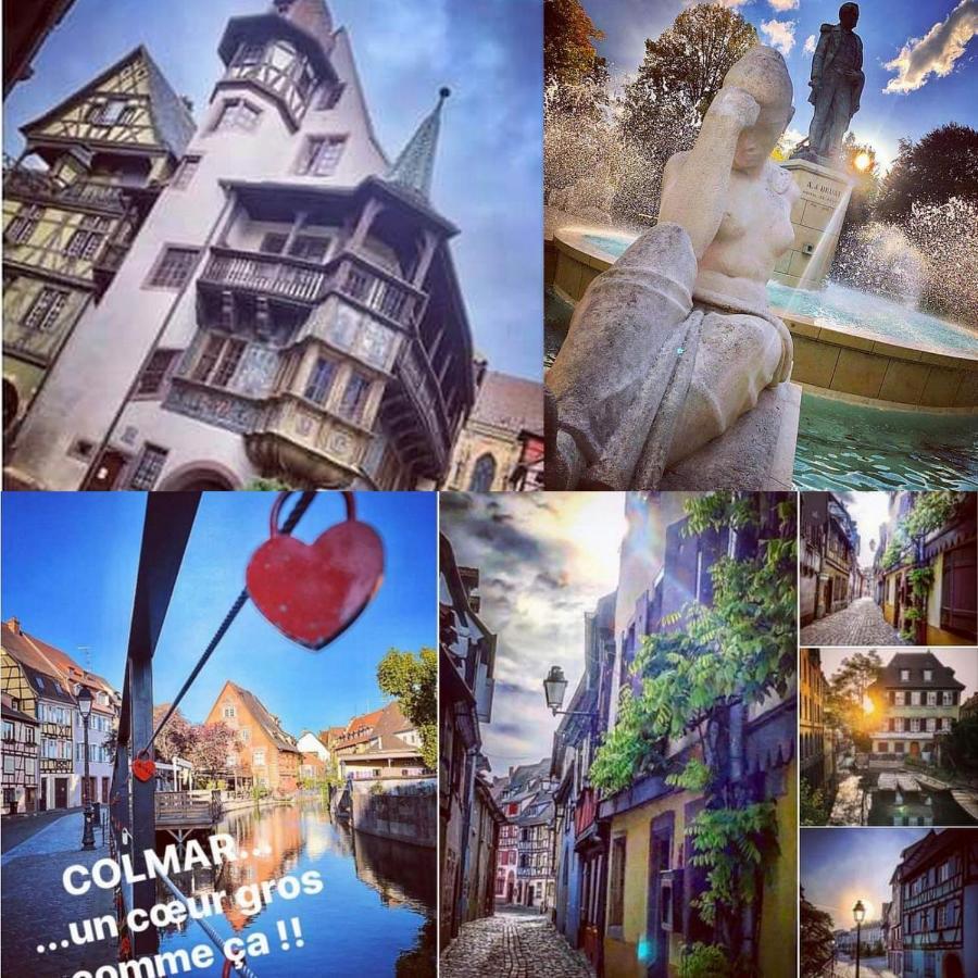 Le 1 " Gites Tout Confort A Colmar Centre" Εξωτερικό φωτογραφία